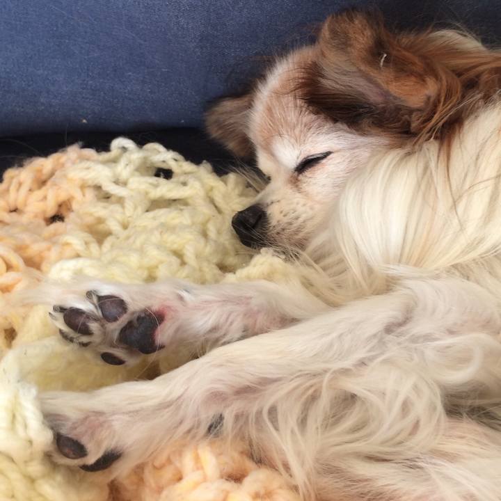 B5ad9735 f7b0 485b adea b3e86ff2ac55