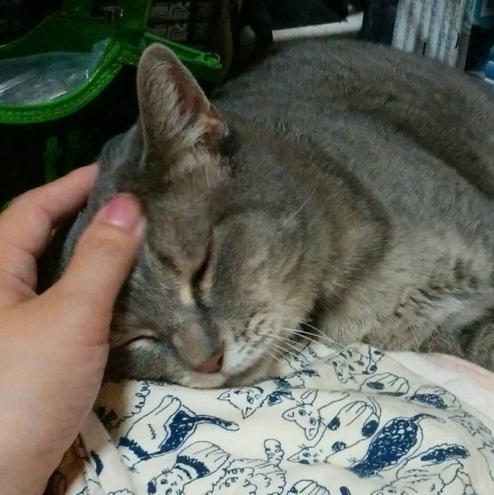 B5addd2d 5cc5 489b a549 32c26143d8a9