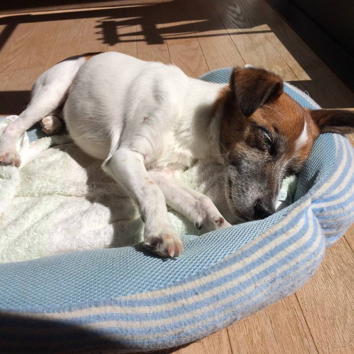 B5adfc82 d66b 48e0 abaa b3cf7d308c94