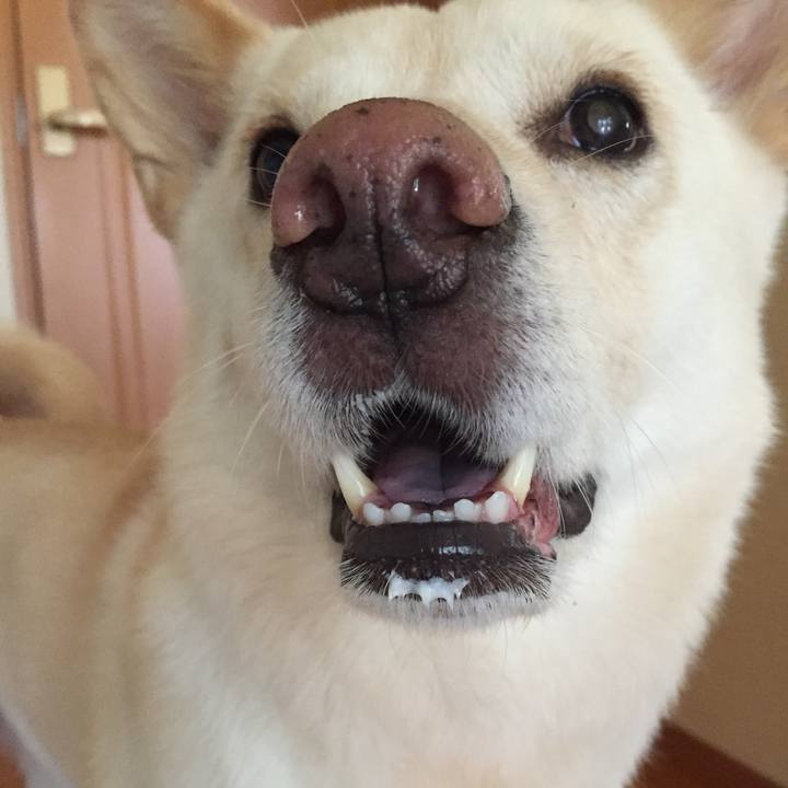 B5ae510c 95bb 4155 9ba0 54566f590d5f