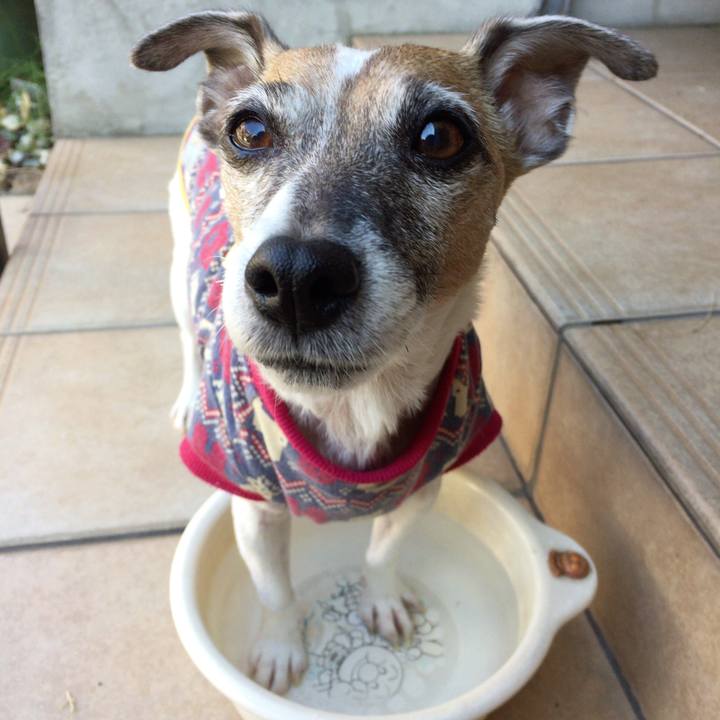 B5aed22c da2b 4afe 8c34 9f25ef70fd14