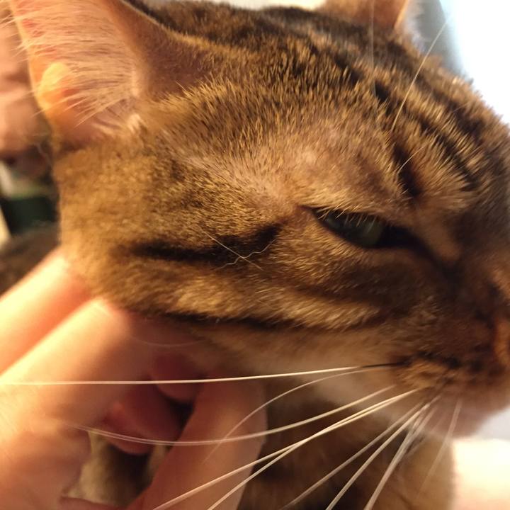 B5af4284 ee53 4f85 a841 bcf6f8ce7cce