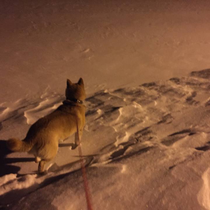 B5af5322 89cf 4181 a94e 74470d103a90