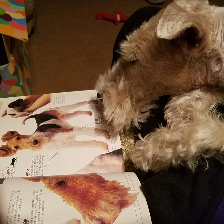 B5afcb96 768f 4caf 934e 415ebf97d6d2