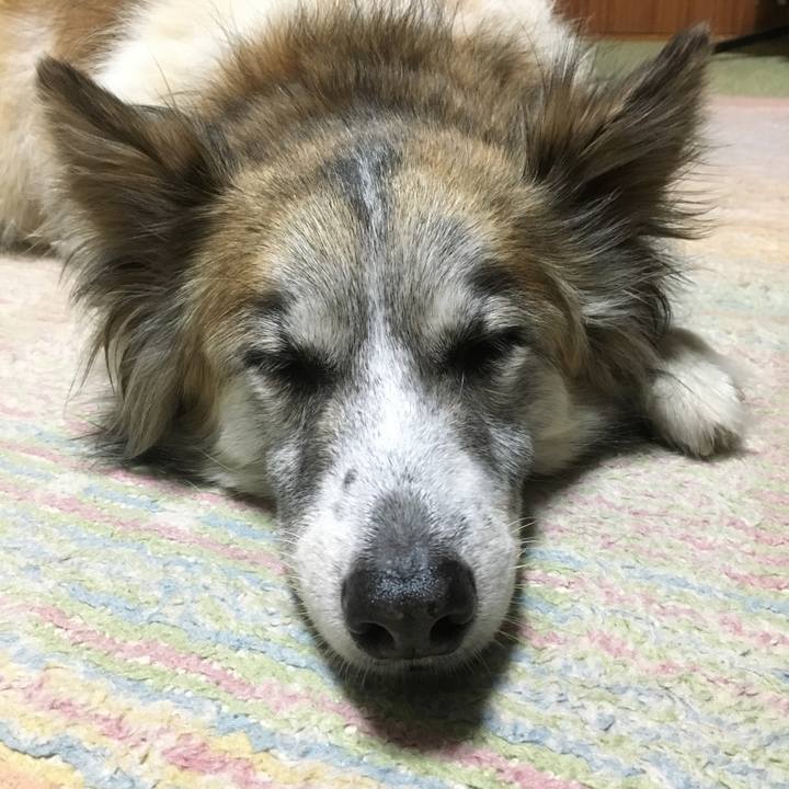 B5afffc6 6c52 45de a270 d06daceb7514