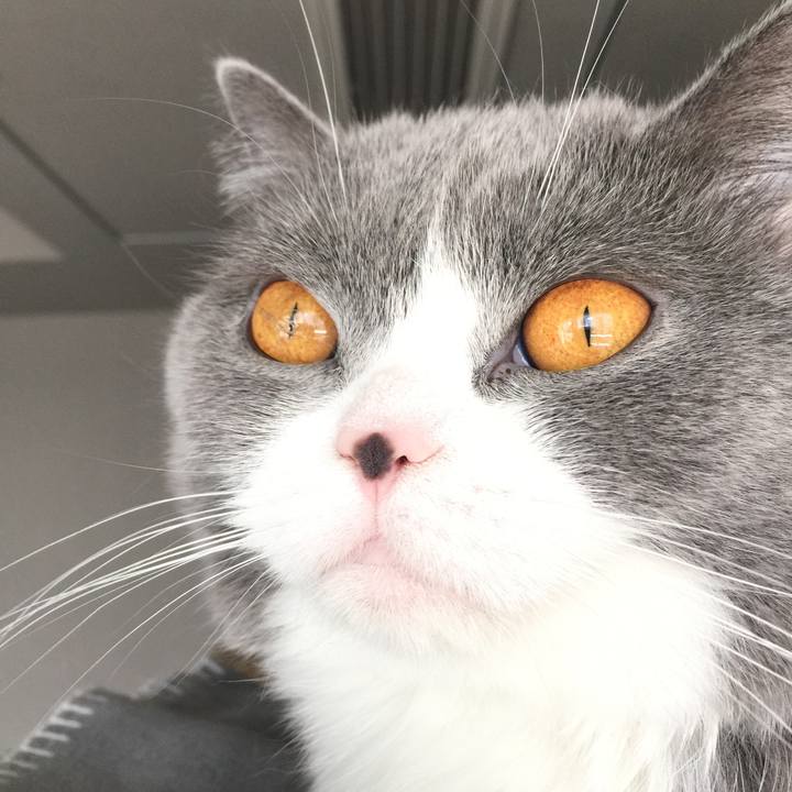 B5b03e38 1b76 4120 aa7a 0227a3850ca9