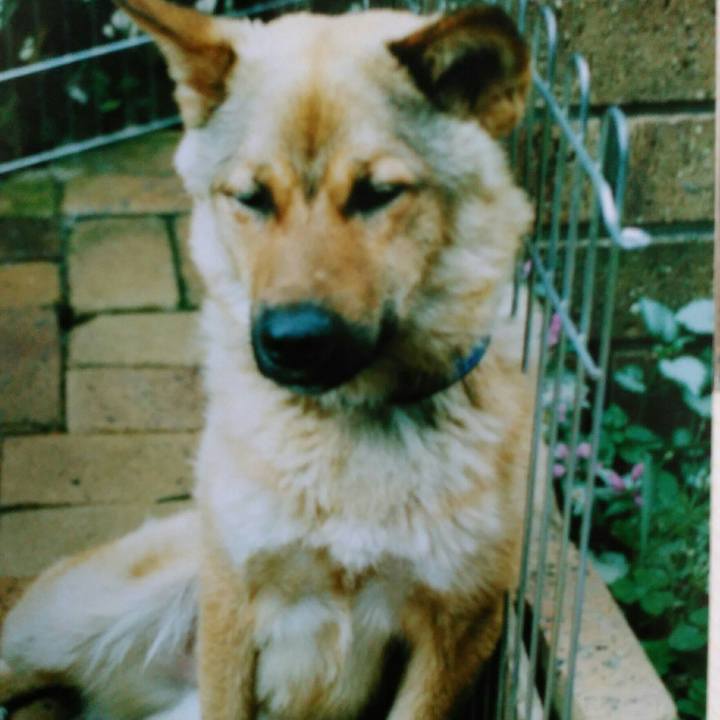 B5b06b07 fe92 4541 b498 e7fad27c35d9