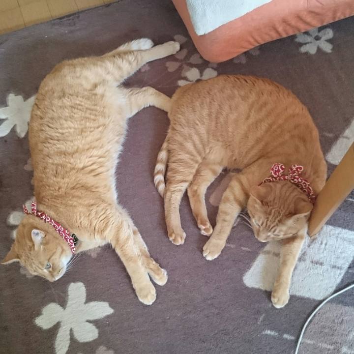 B5b0cf19 b36f 4120 af48 a0cb63858890