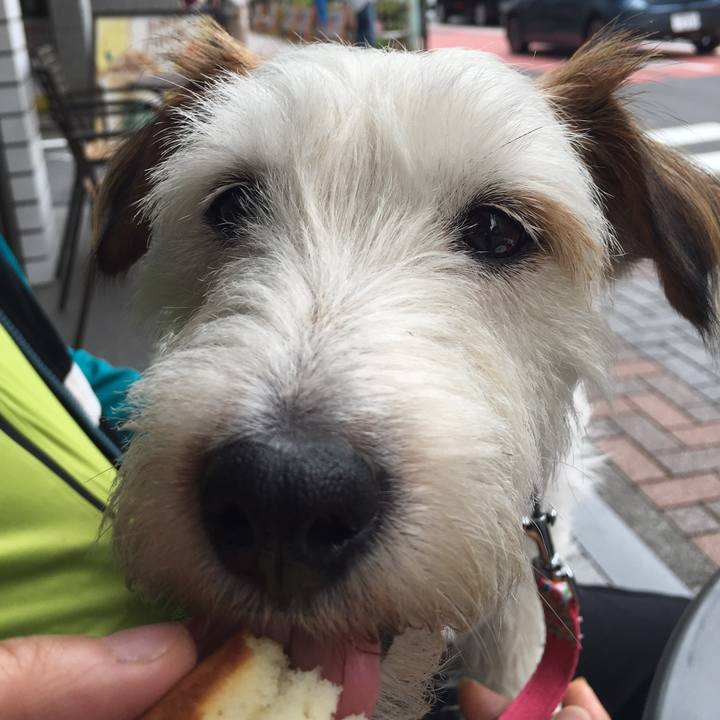 B5b11a95 2d32 4ab7 8cba b4f9f516f30d