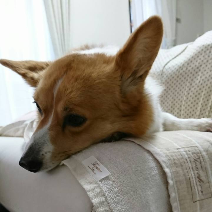 B5b15f3c 6508 439a b2d8 f7f387980351