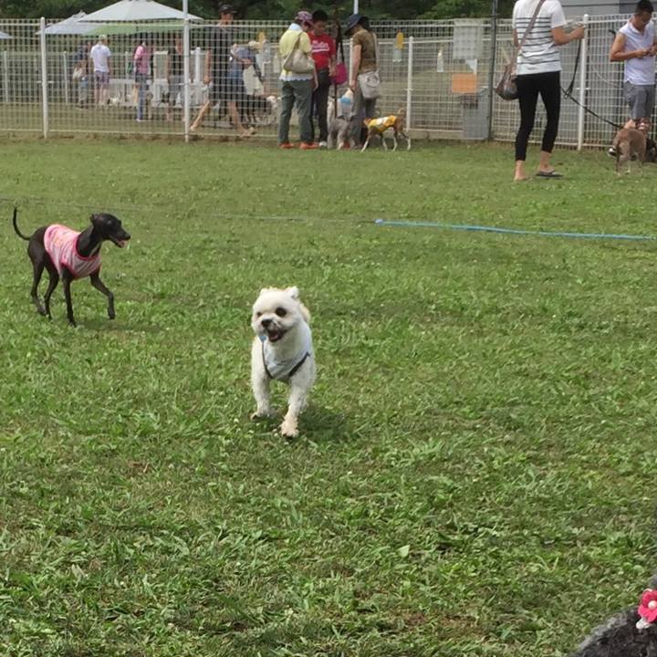 B5b167fd 1c12 4658 b054 4bea358b303e