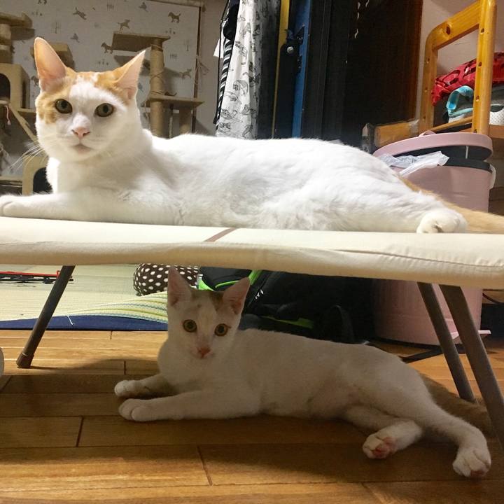 B5b18125 606c 4d65 914d ebc7dd68882f