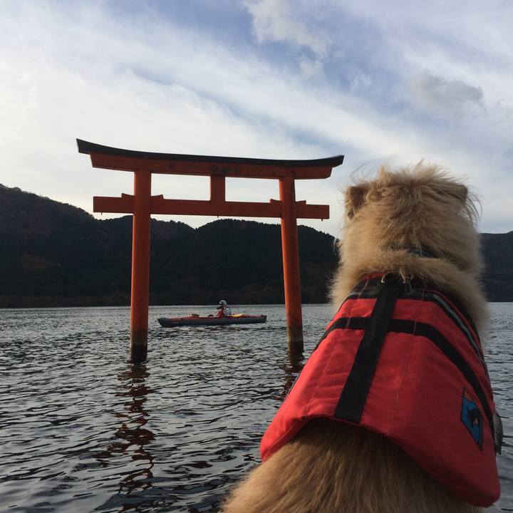 B5b185d7 f243 46c6 b230 6715c79289d4