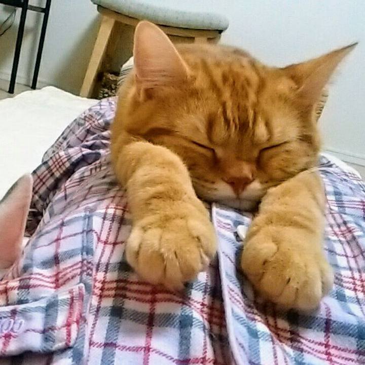 B5b187f3 2d5e 44f3 be25 ce328fbd2217