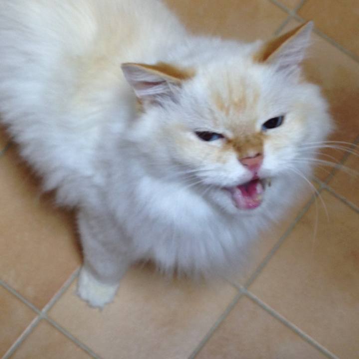 B5b2cb4d 5a6c 4331 babe 24cb0b7a2e08