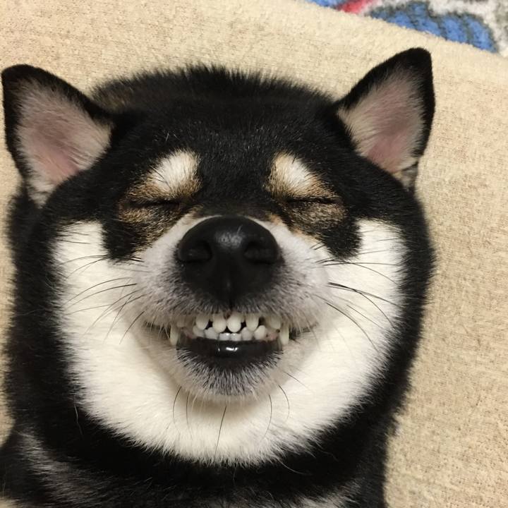 B5b2cfb2 0786 4e89 b557 f2d58fd18e56