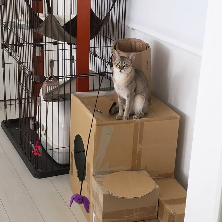 B5b2f223 b97f 47ba 835d b12040d513ef