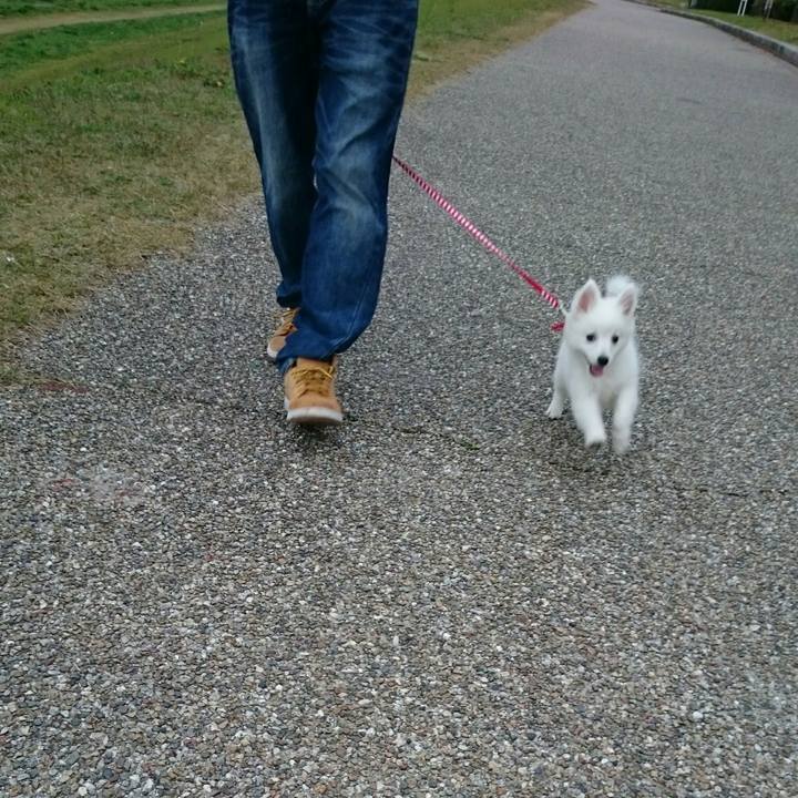 B5b3598e 3729 4c17 b7de febd40f9cb3c