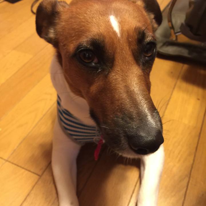 B5b3e305 90a8 4d3a af0f 6c17e4655663