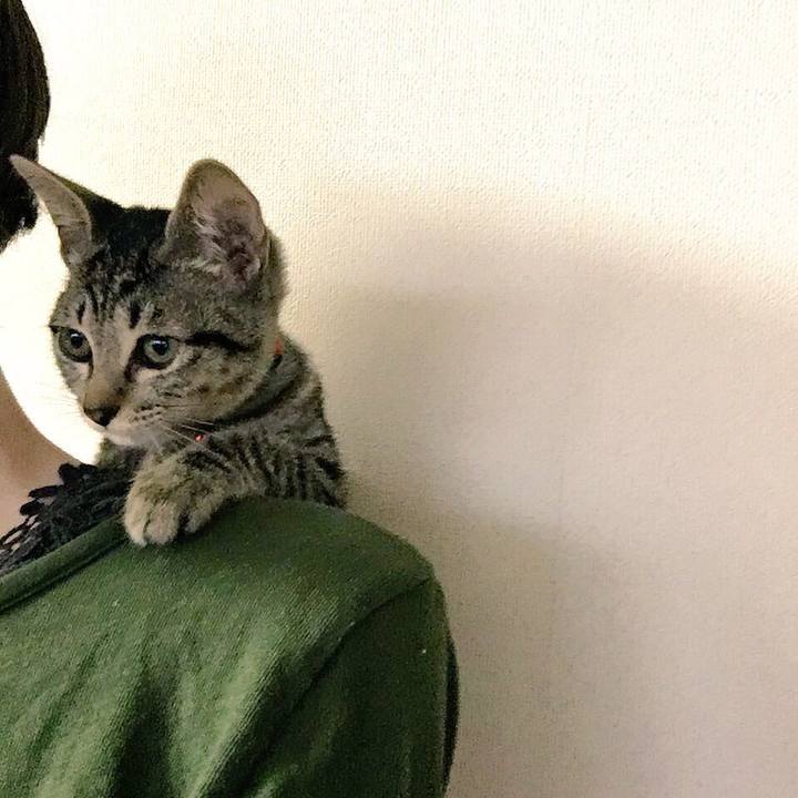 B5b3ff97 a650 4c66 bc31 674c68b59123