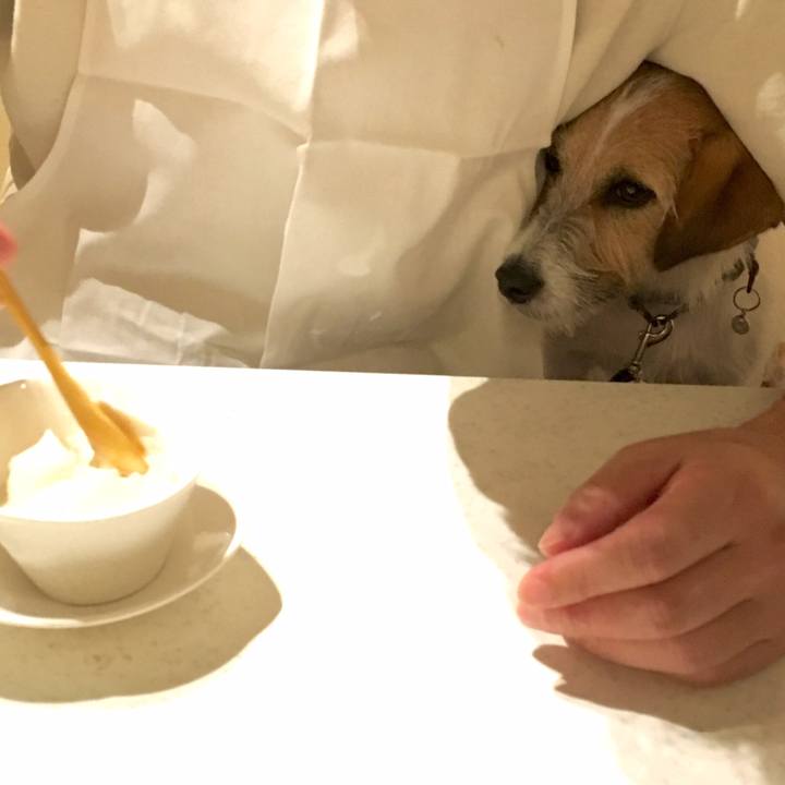 B5b43bd6 5c6b 4535 b010 0c835797ee7e