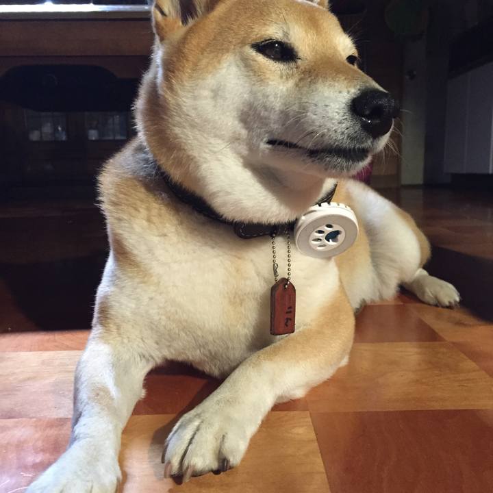 B5b4ea03 5532 4599 8041 88d944db8588