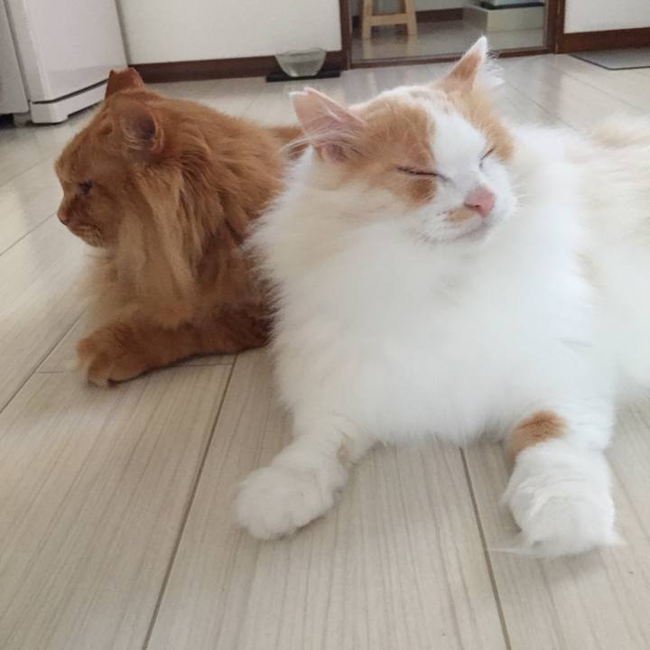 B5b56893 abb0 418a 8ceb b4a213ae4bce