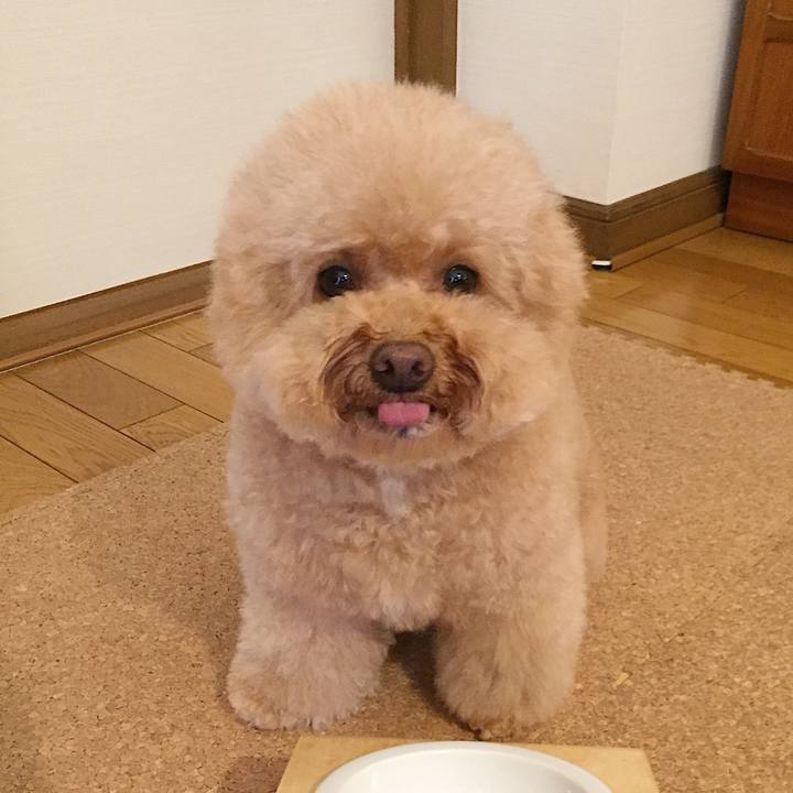 B5b59845 9cd6 439e 9416 fadb0f9f3c55