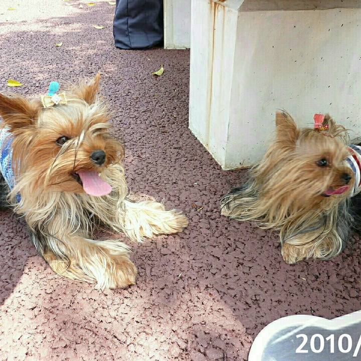 B5b5c9d1 6e55 48ed aa44 99487c7ed673