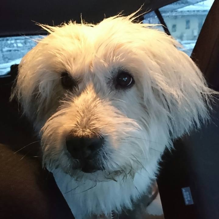 B5b620de 0123 48e2 b9d6 0c6e5087f367