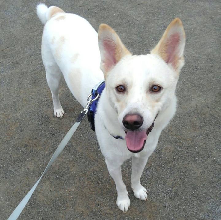 B5b6bb18 b14a 4fb3 9dad 02276b6c79ef