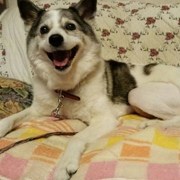 B5b6bc0c 51c9 40e8 aba2 1b7fdcbd6343