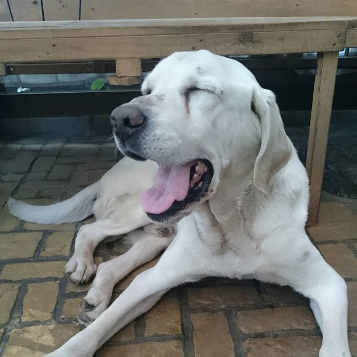 B5b6cb68 29a5 4c55 add7 63a6410ea2a5