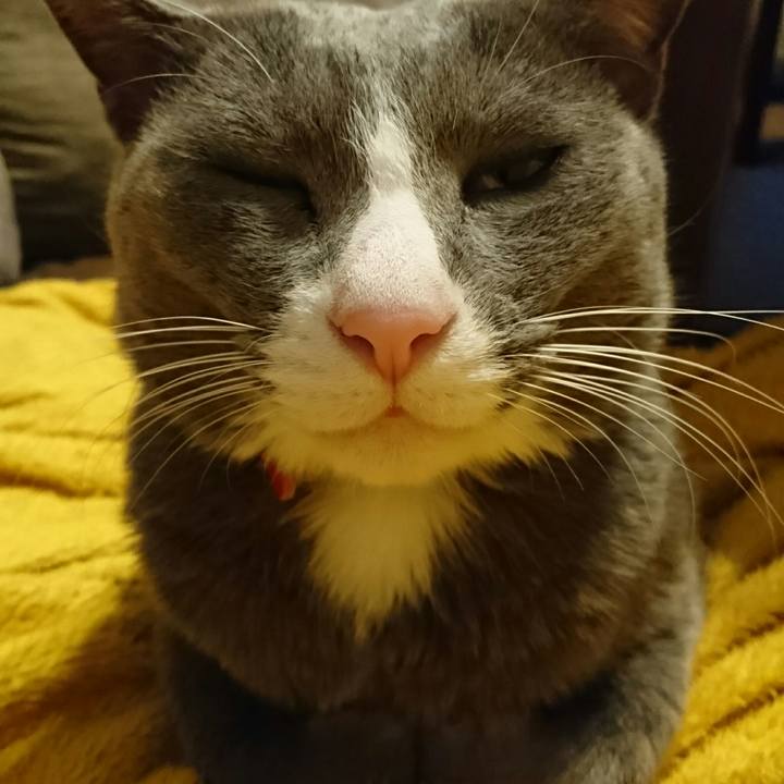 B5b82ccf e928 4721 a7f1 ca55058ad008