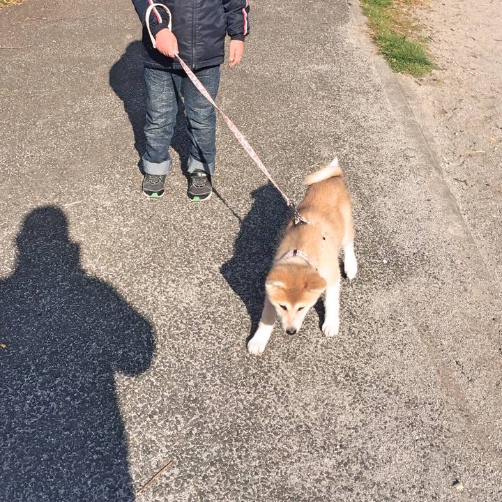 B5b8b156 0981 4904 821e b003816fc5c1