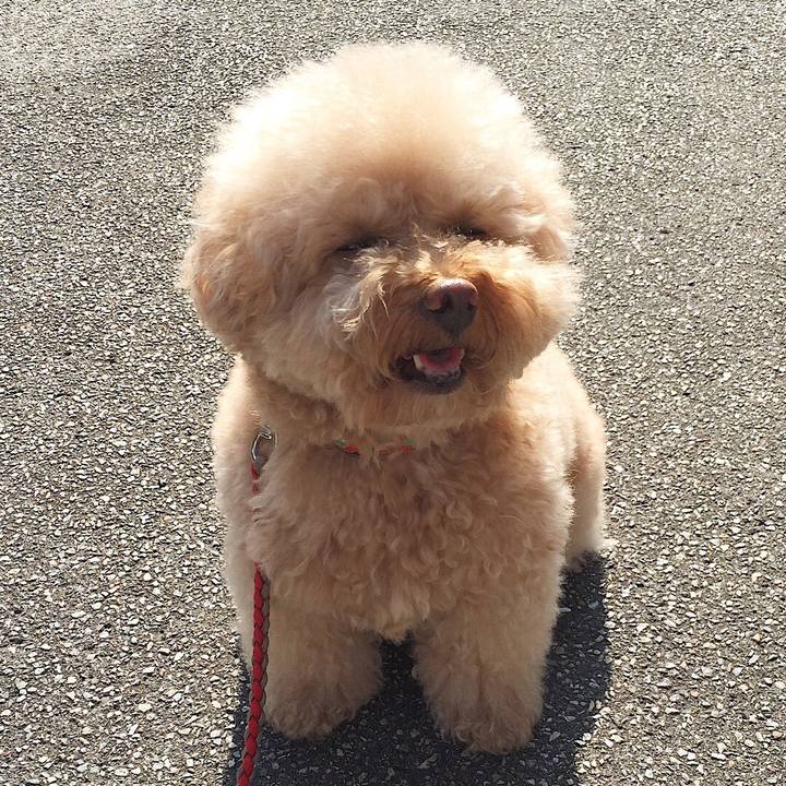 B5b96d40 43e9 4a7b b858 94bd7424adf0