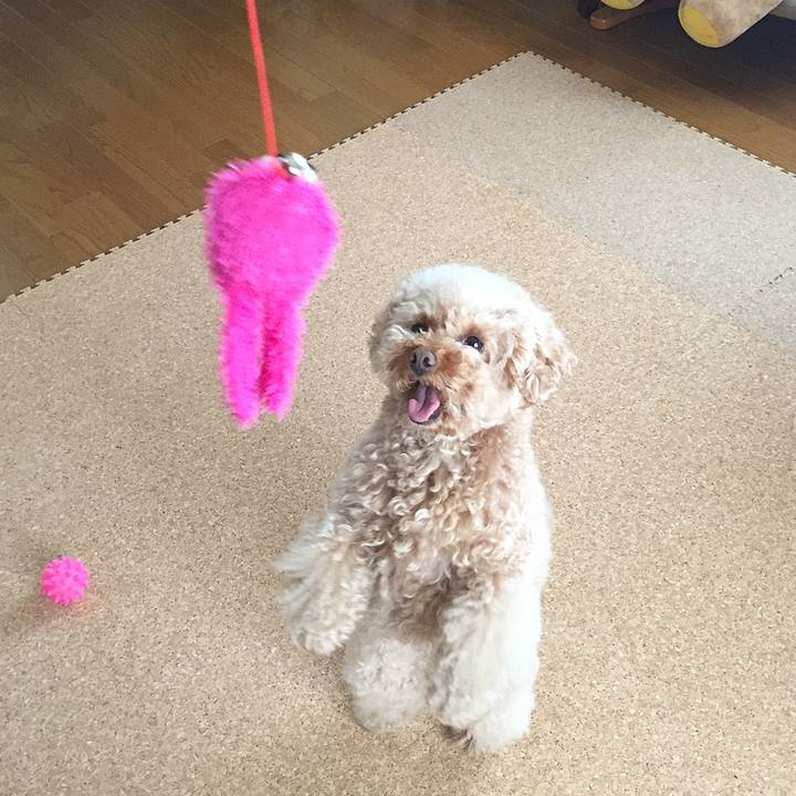 B5b9809a 04e9 42ab 811e 2ee156421bda