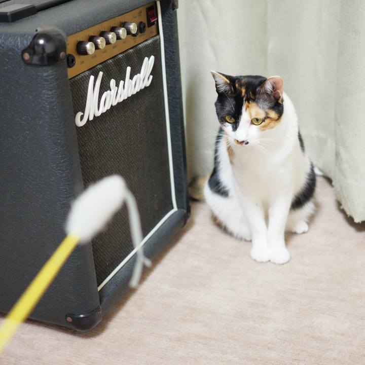 B5b9d4c5 20f4 48ac befa 60a2788fc45e