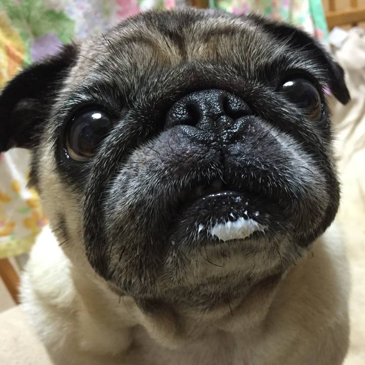 B5b9dcb9 c46a 4544 a3ab 8ee31913d65d