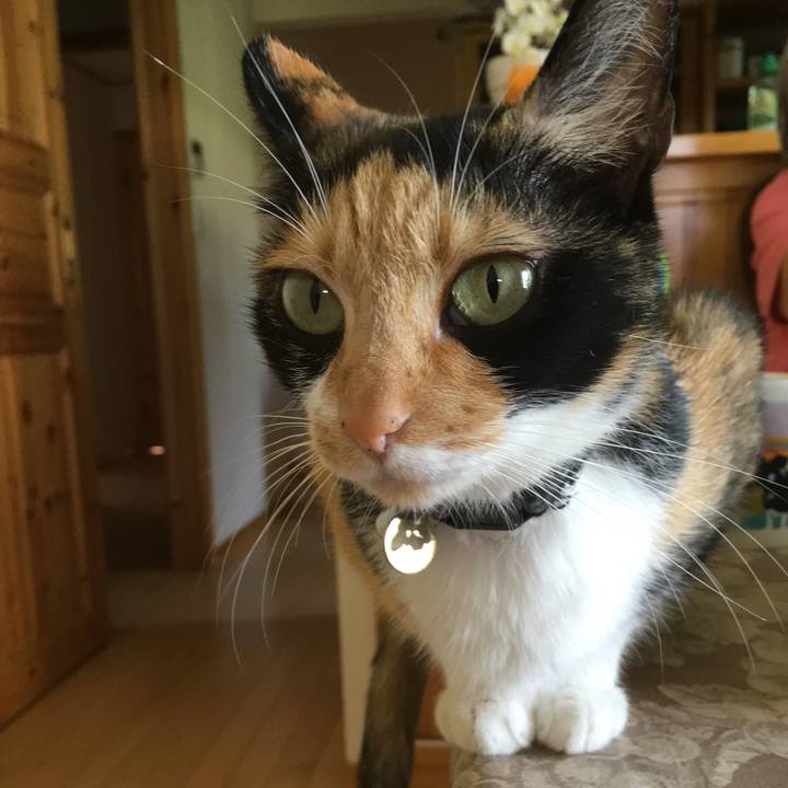 B5ba45fd 4bef 4674 9b8f 06a93722a3fa