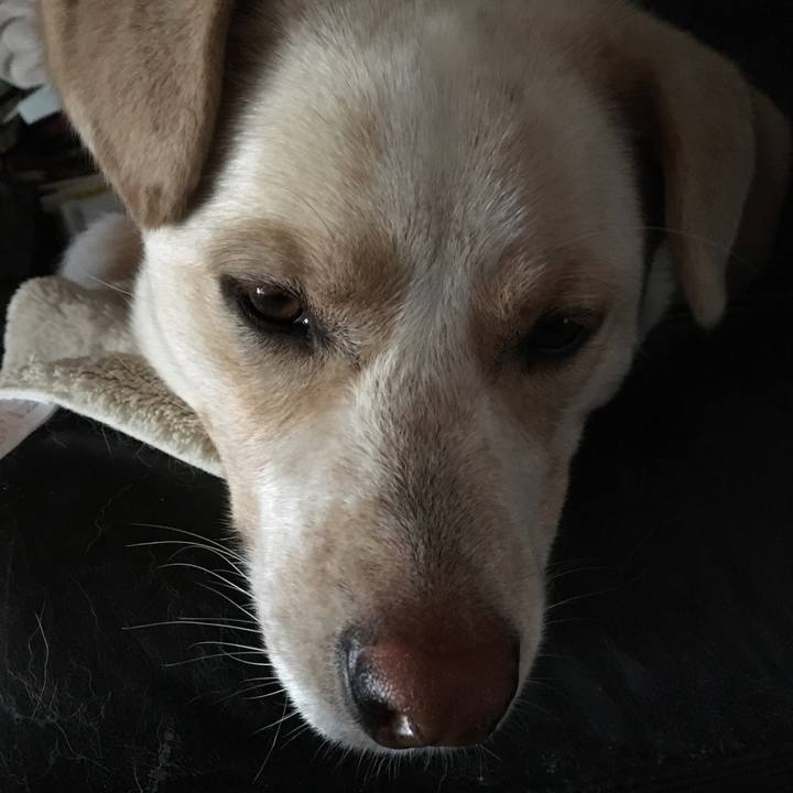 B5bb1b76 f07e 4f5e 9517 b3d22d868a5e