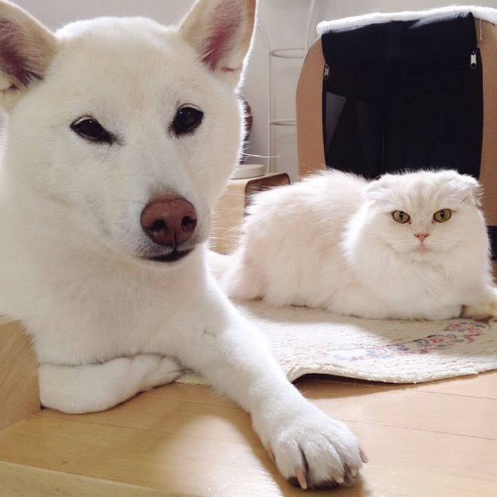 B5bba091 638b 492e a8e4 71f828b7a08f