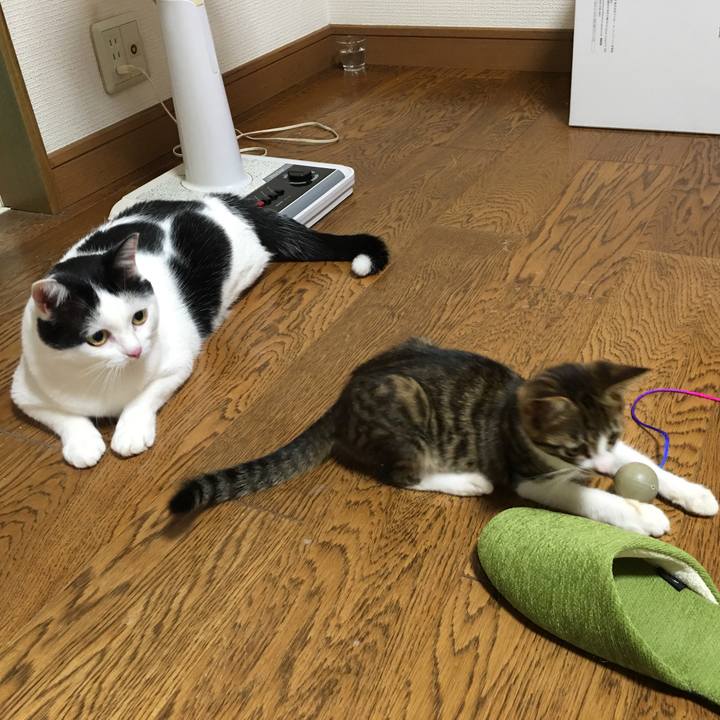 B5bc19af 75d6 413d bd0a 8ef1d7a1a84b