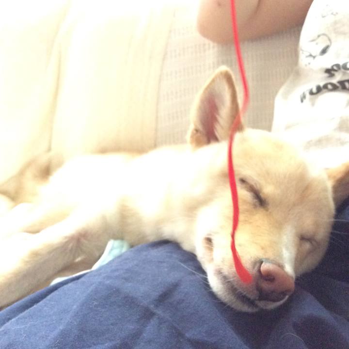 B5bc327f 9045 4901 9734 32ba69567f39