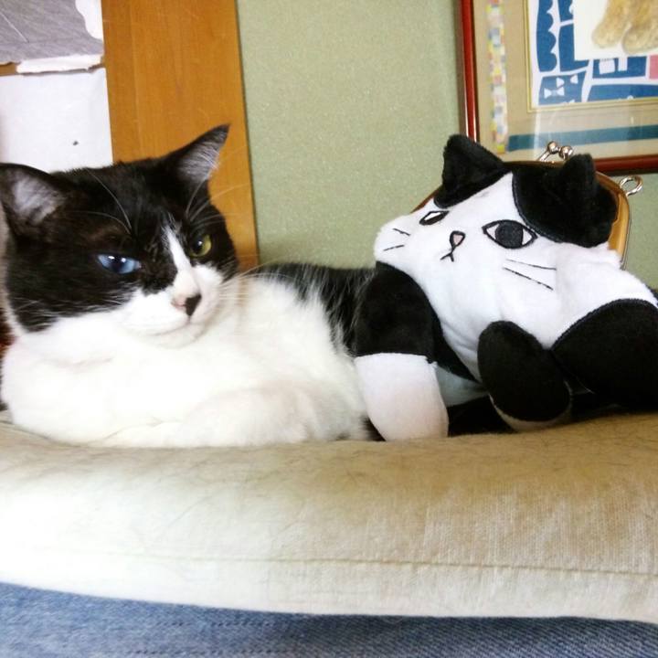 B5bc426f f88b 464b aca7 606ce30804cd