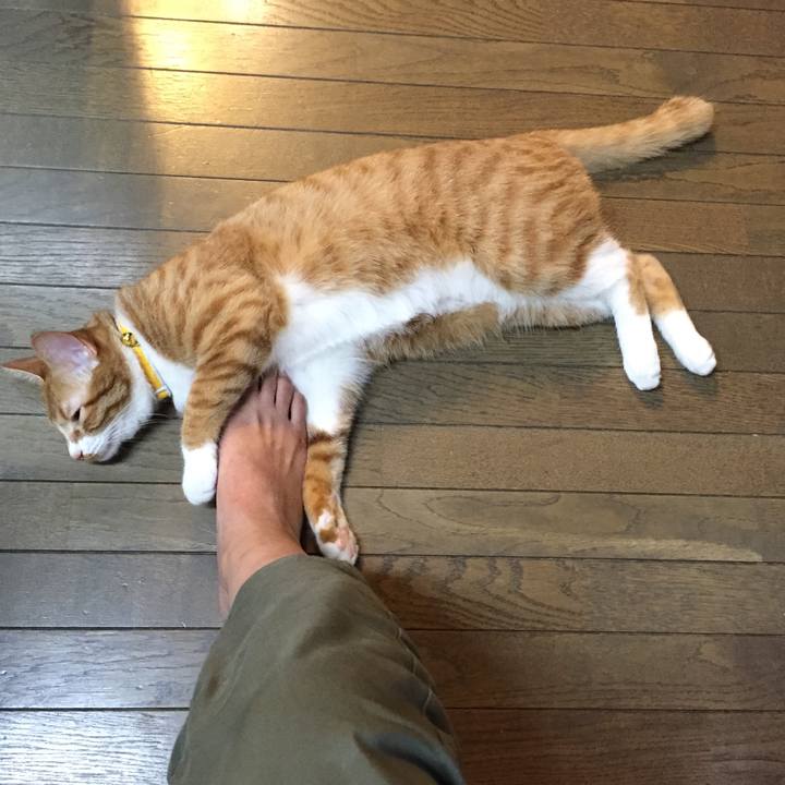 B5bca6c1 5813 4e8c ba7c d197595265d5