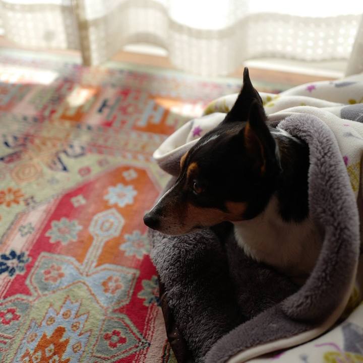 B5bcd630 7486 4d55 bb96 37139c125f24