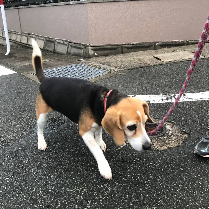 B5bce706 df88 4a94 a8cd 793a81896ae9