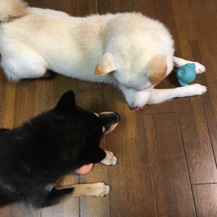 B5bd0a0d 6a2f 4d74 bb93 ca5dc57c4ca2