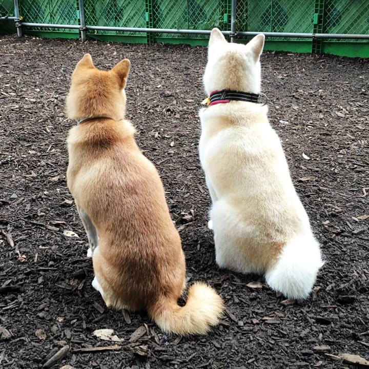 B5bdbe6c af6b 4e3b 84fe 9a94d9698c88